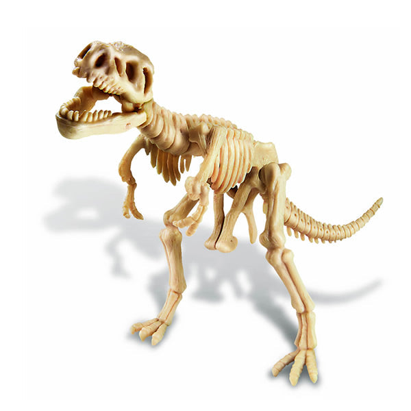 Excava Tyrannosaurus Rex
