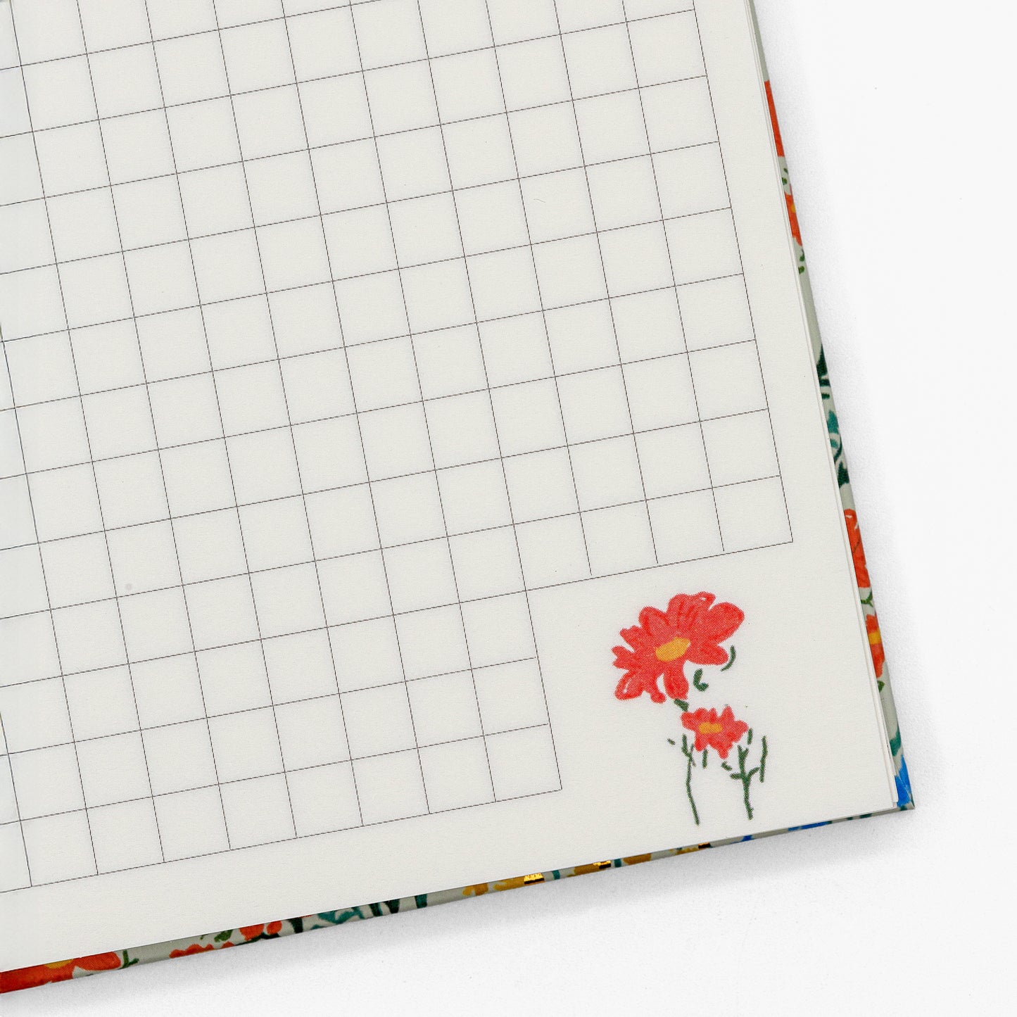Cuaderno Flora II