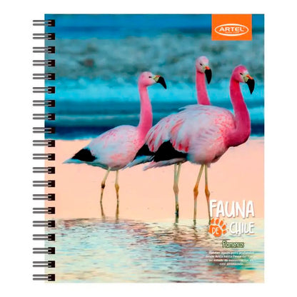 Cuaderno Universitario 100h 7mm Chile Artel