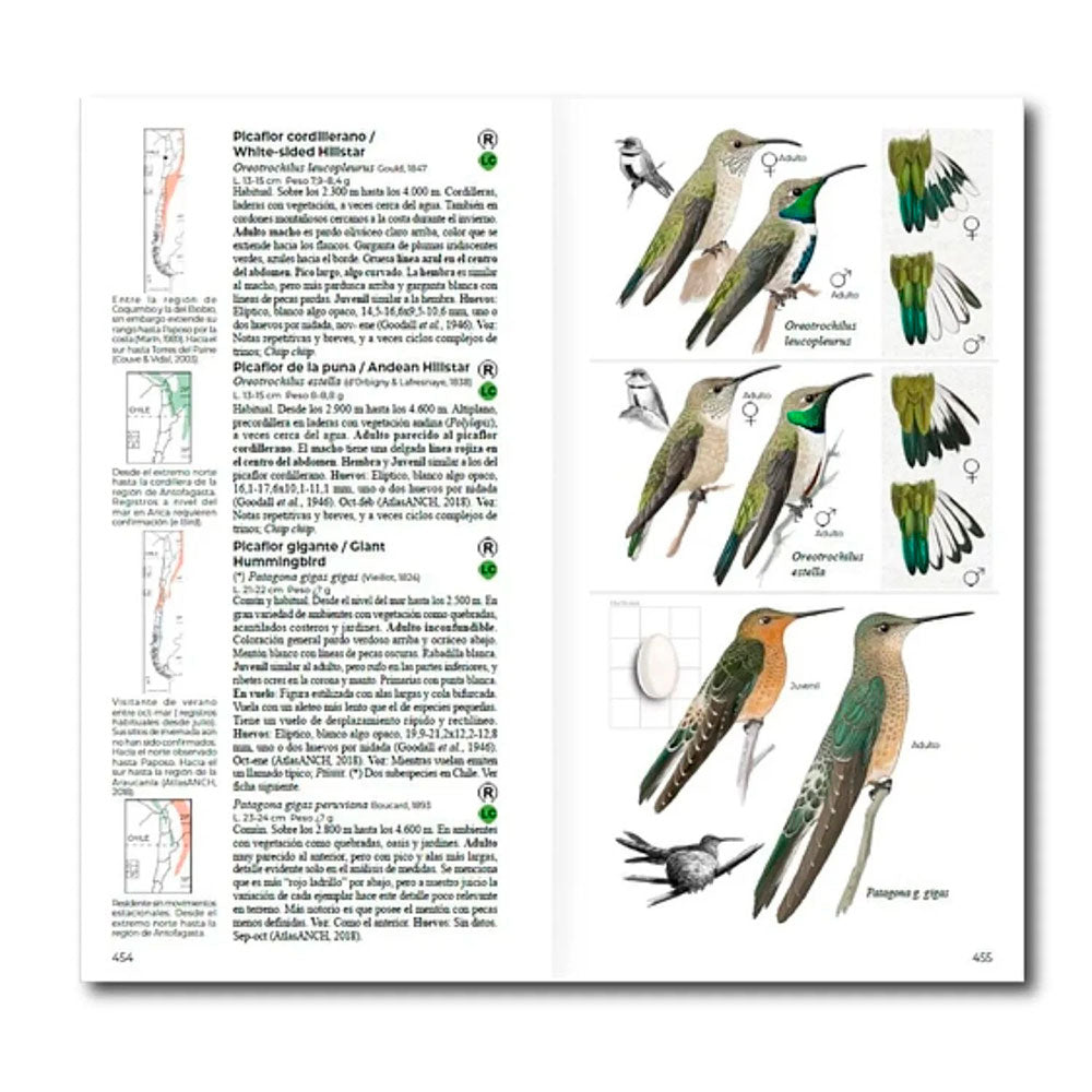 Aves de Chile: Guía de Campo y Breve Historia Natural - Martinez, Daniel