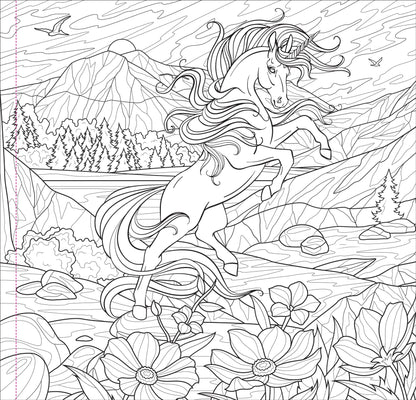 Libro para colorear adultos  Reino Encantado