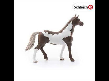 Caballo Pintado  Schleich