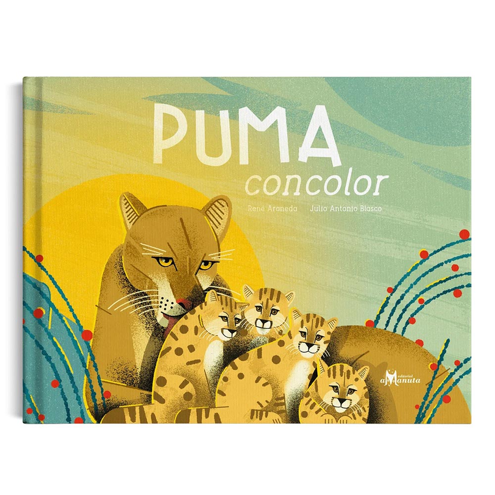 Puma concolor - René Araneda - Ilustración J.A. Blasco