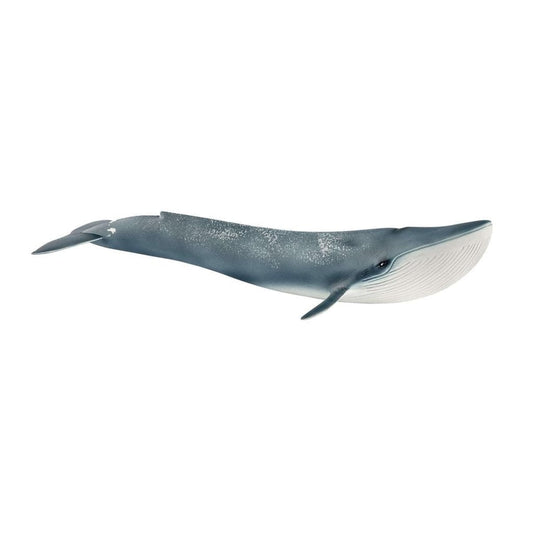 Ballena Azul coleccionable Schleich