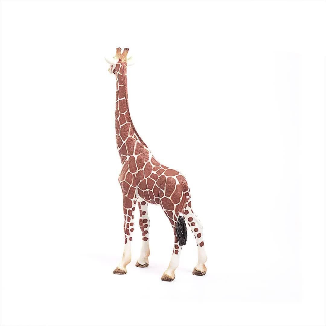 Jirafa hembra coleccionable Schleich