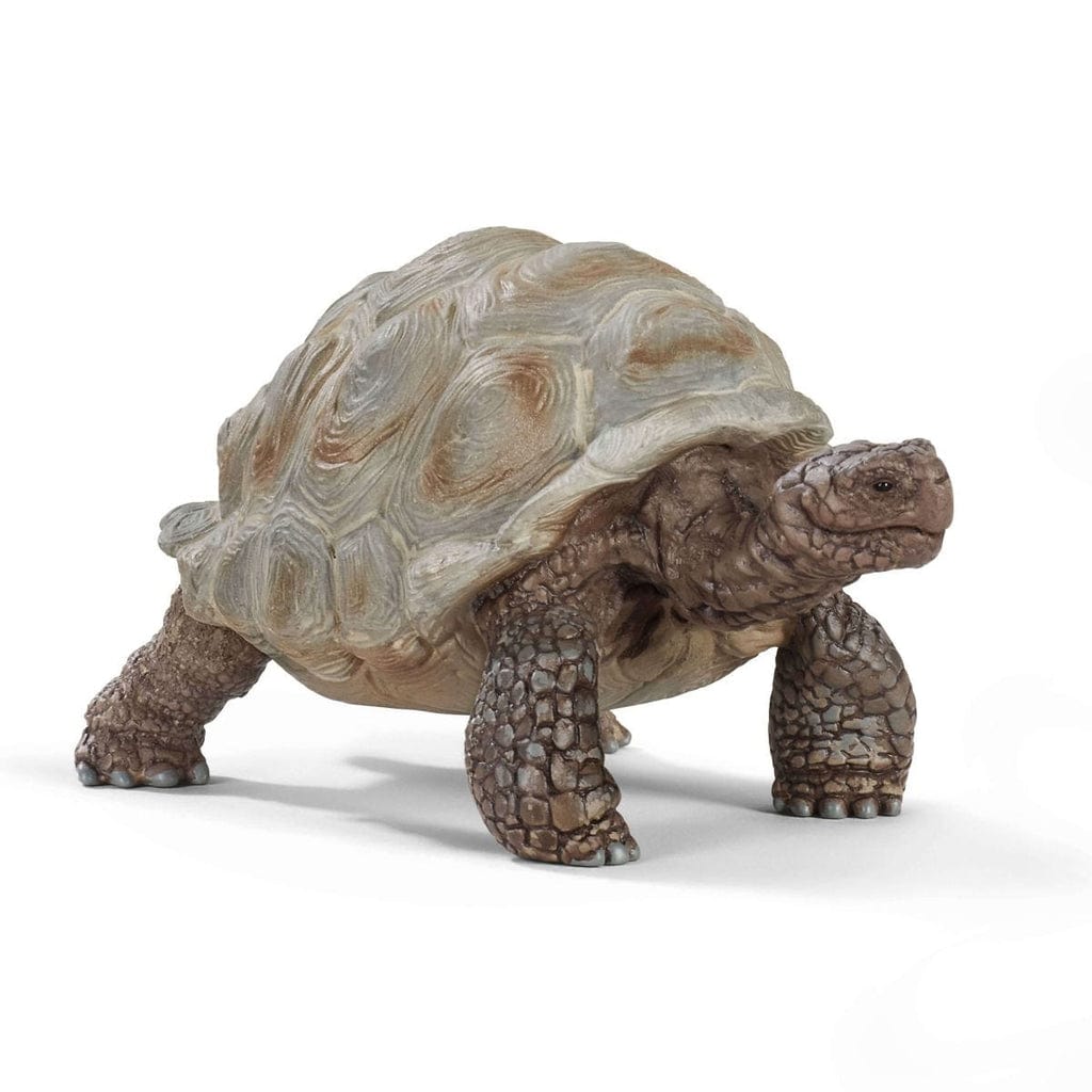 Tortuga gigante coleccionable Schleich