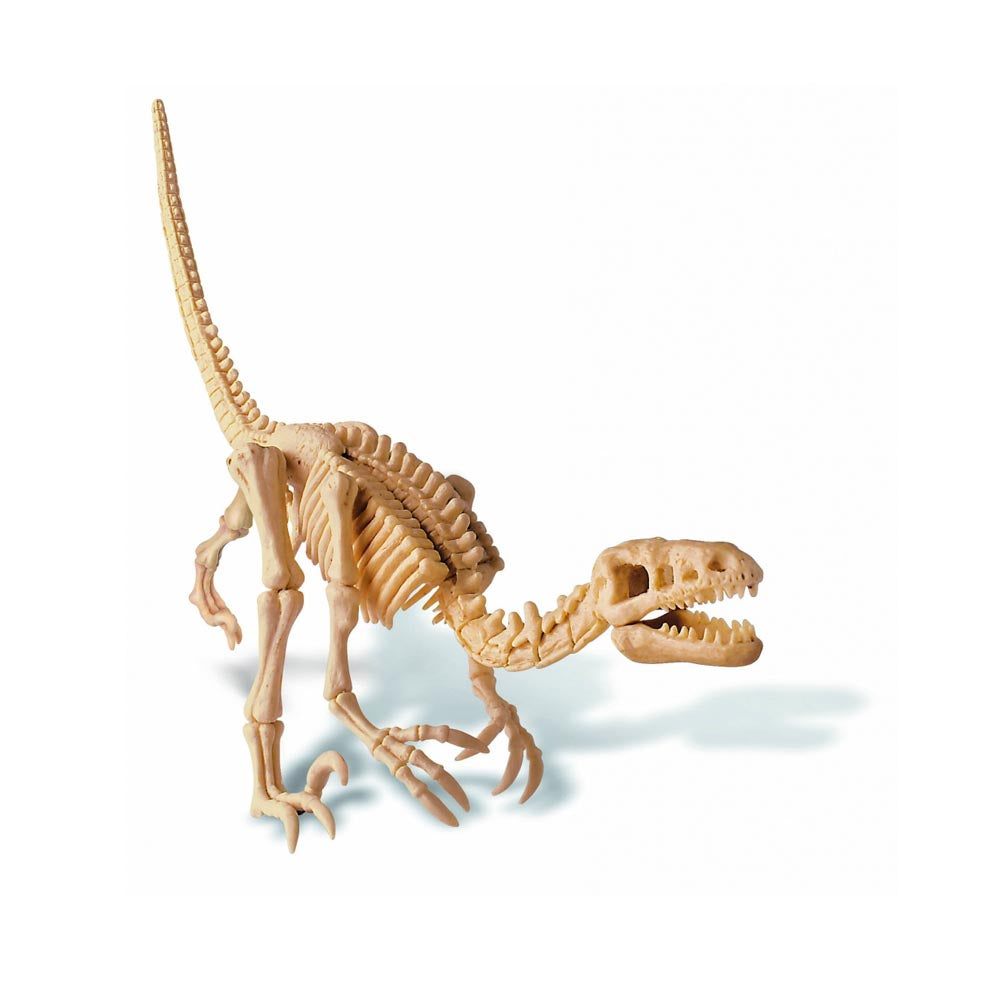 Excava Velociraptor