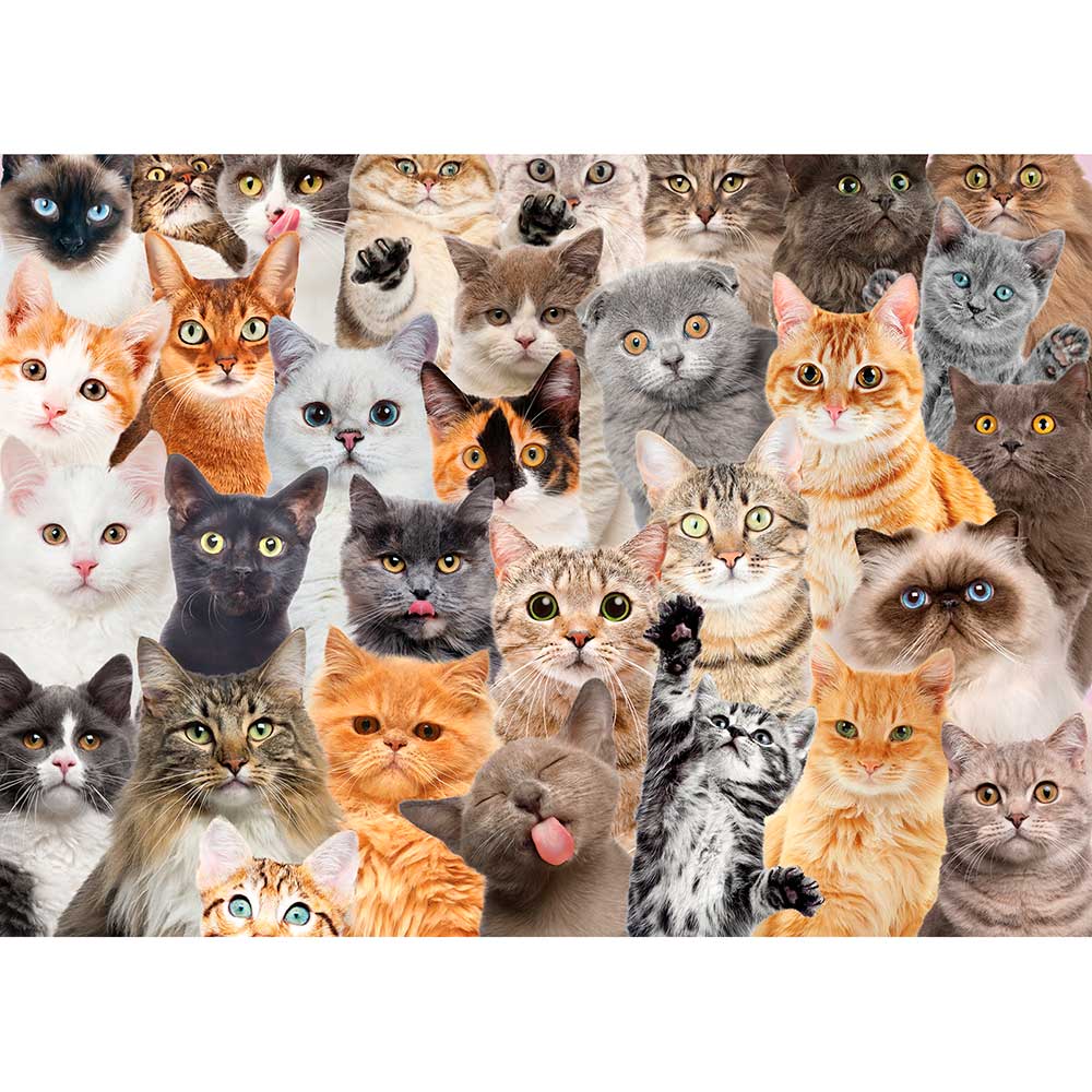 Puzzle ALL THE CATS 1000 pcs